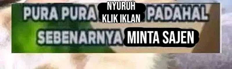 image-komik-adventures-of-an-undead-who-became-paladin-chapter-173-16/17