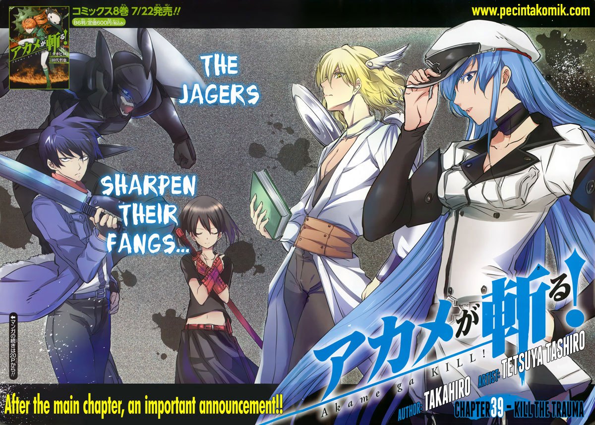 image-komik-akame-ga-kill-chapter-40-2/44