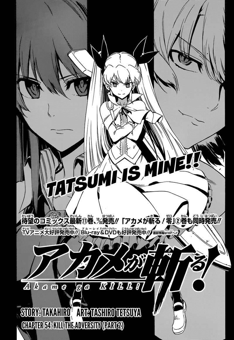 image-komik-akame-ga-kill-chapter-54-4/45