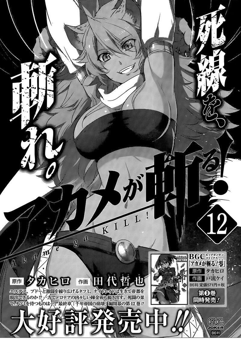 image-komik-akame-ga-kill-chapter-62-48/49