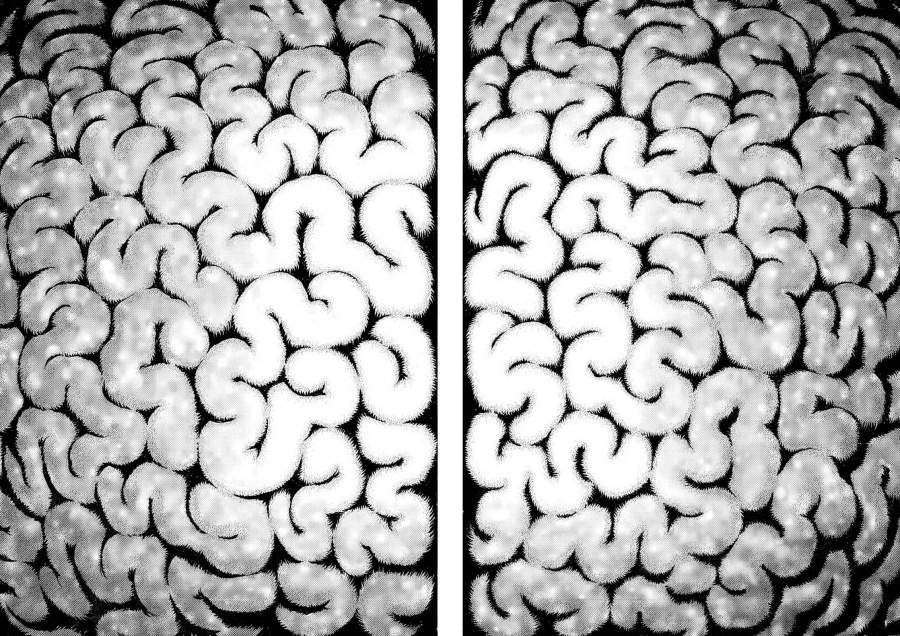 image-komik-berserk-chapter-306-11/16