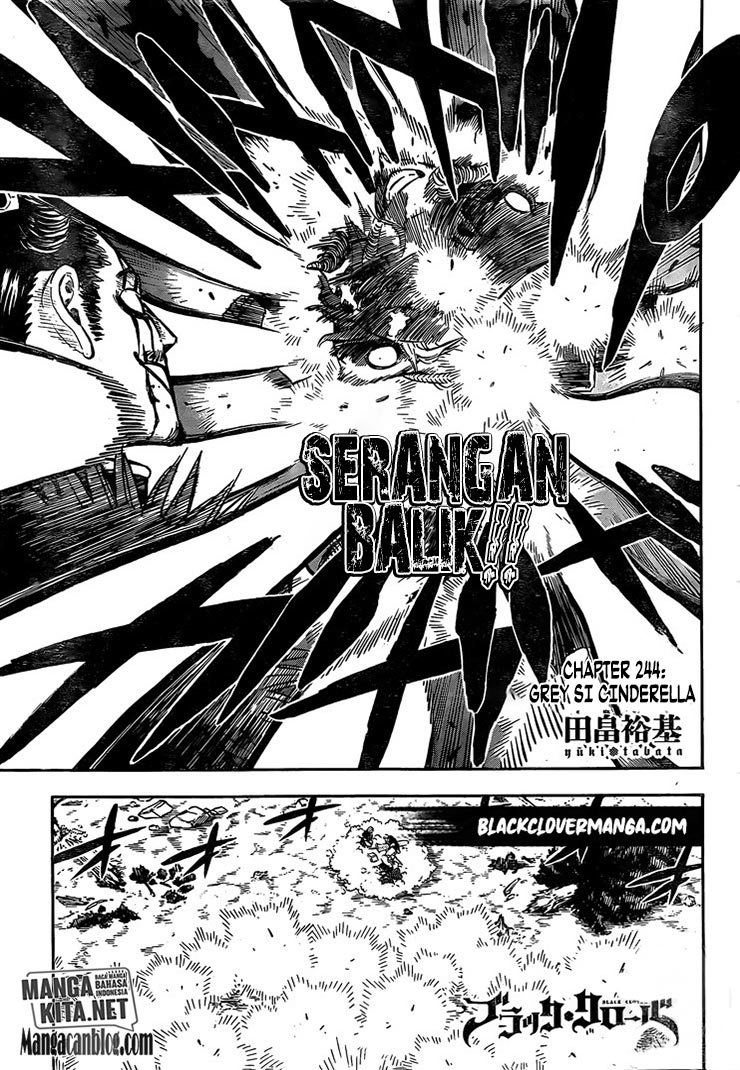 image-komik-black-clover-chapter-244-4/17