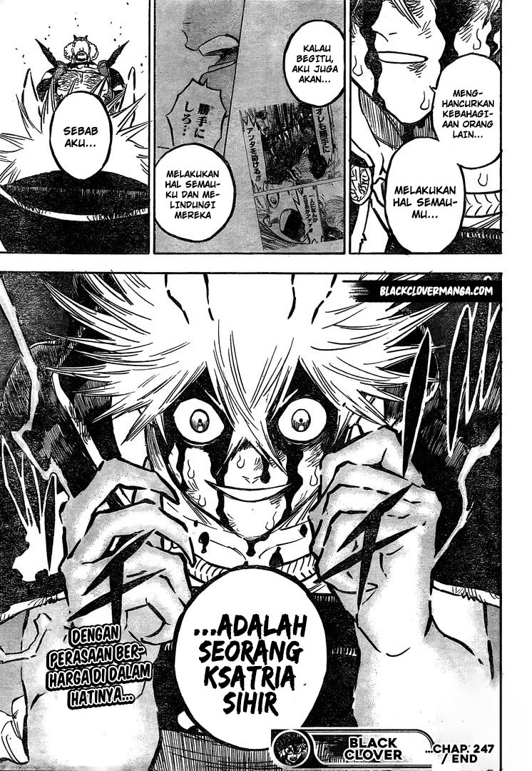image-komik-black-clover-chapter-247-13/14