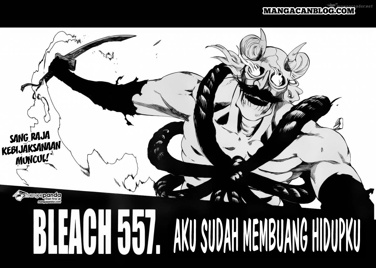 image-komik-bleach-chapter-557-4/18