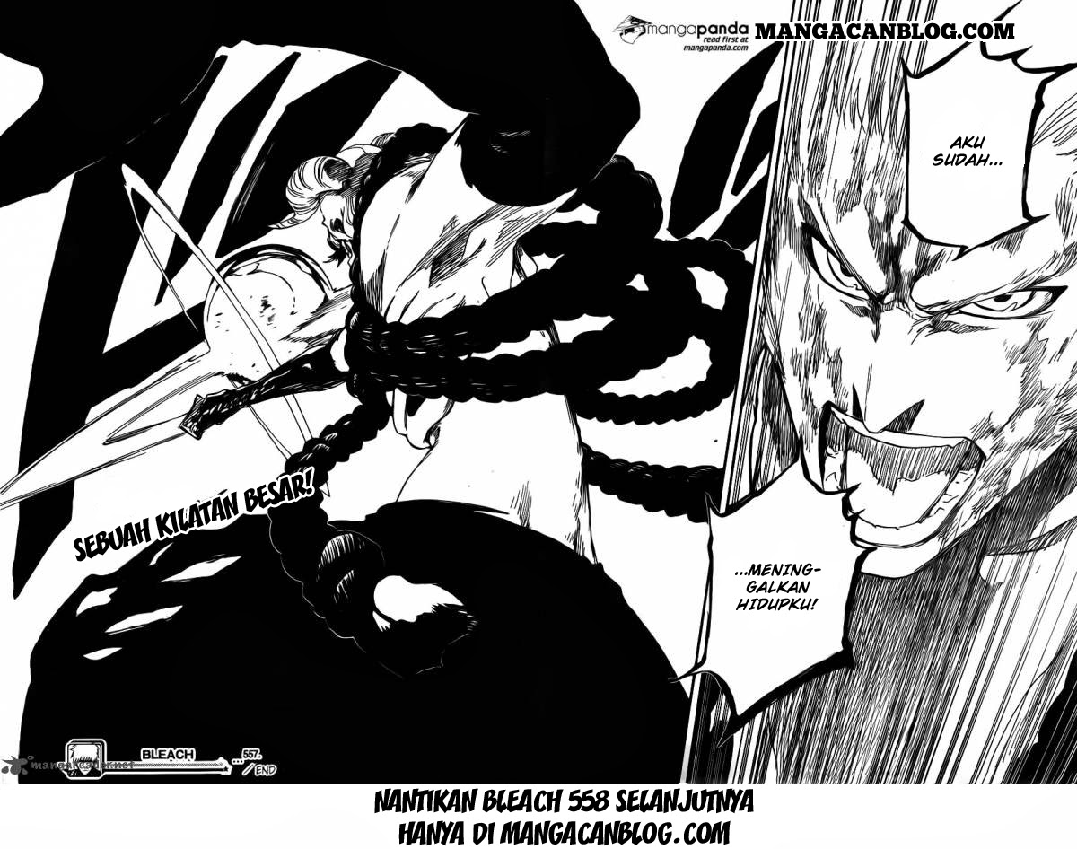 image-komik-bleach-chapter-557-17/18