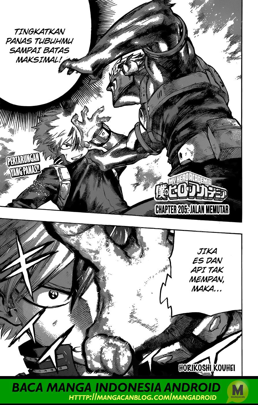 image-komik-boku-no-hero-academia-chapter-205-0/16