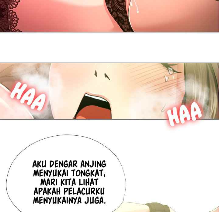 image-komik-cat-fight-chapter-17-24/64