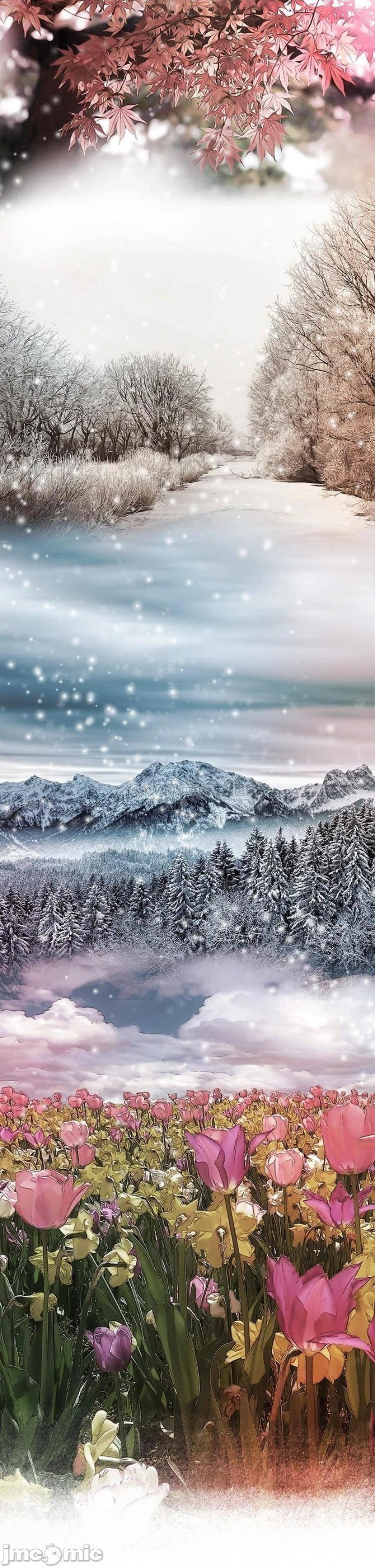 image-komik-concubine-chapter-79-15/27