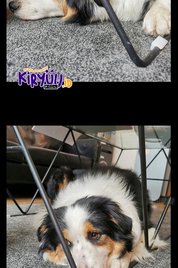 image-komik-da-xiang-wuxing-chapter-71-18/21