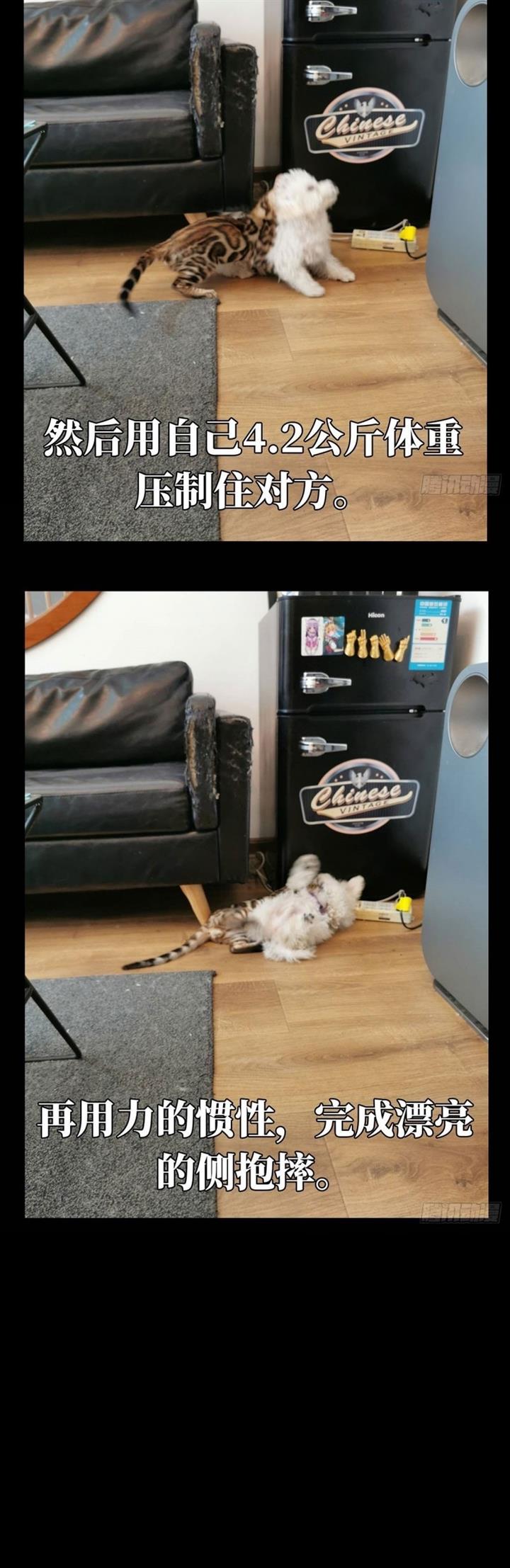 image-komik-da-xiang-wuxing-chapter-72-23/25