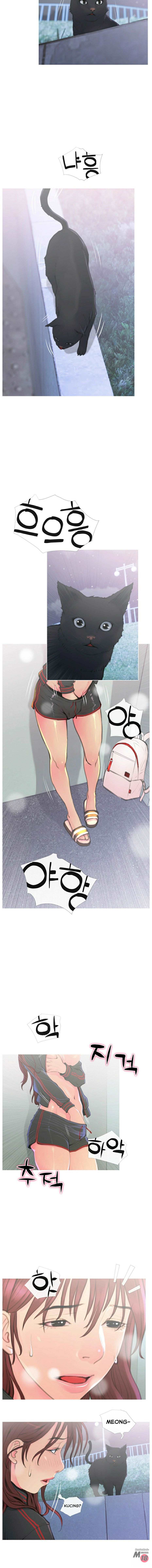 image-komik-desperate-housewives-chapter-1-2/17