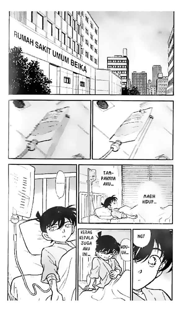 image-komik-detective-conan-chapter-254-2/18