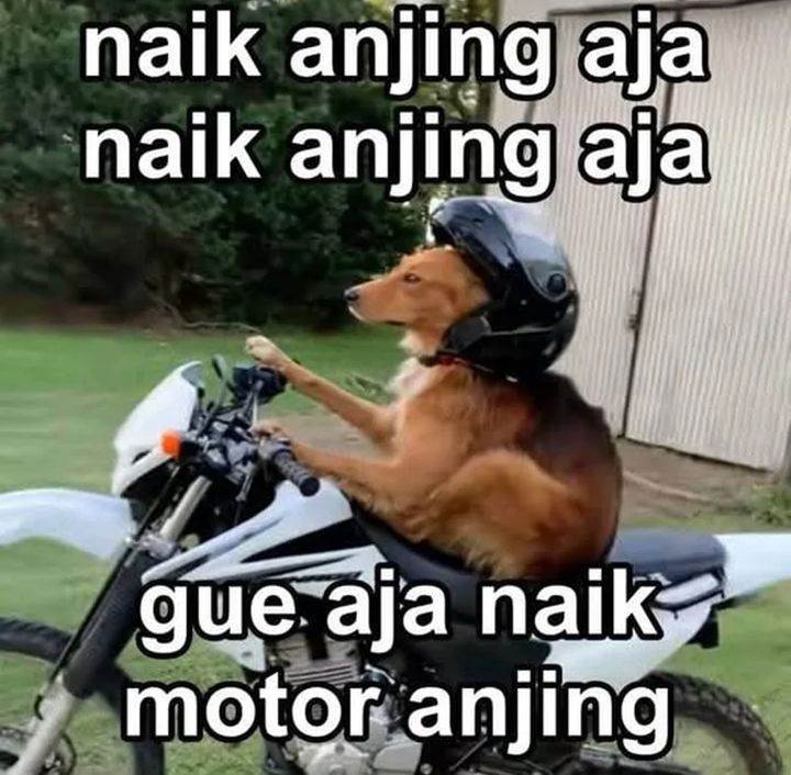 image-komik-divine-delivery-chapter-40-27/28