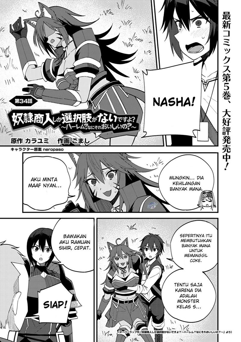 image-komik-dorei-shounin-shika-sentakushi-ga-nai-desu-yo-harem-nani-sore-oishii-no-chapter-34-1/24
