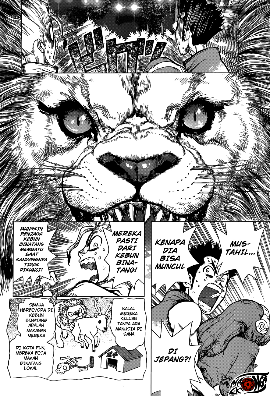 image-komik-dr-stone-chapter-03-6/21