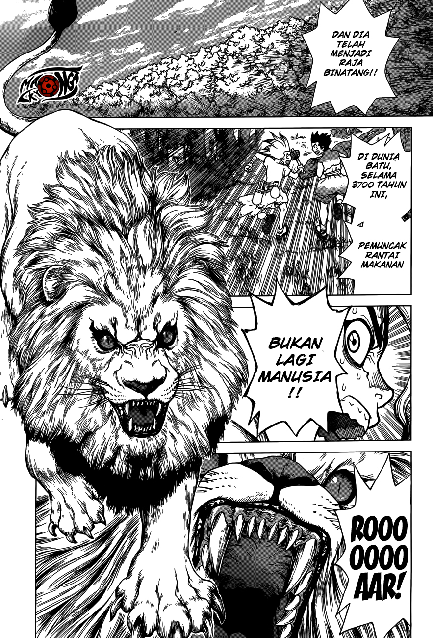 image-komik-dr-stone-chapter-03-7/21