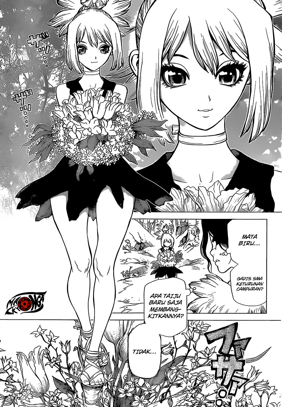 image-komik-dr-stone-chapter-16-3/18