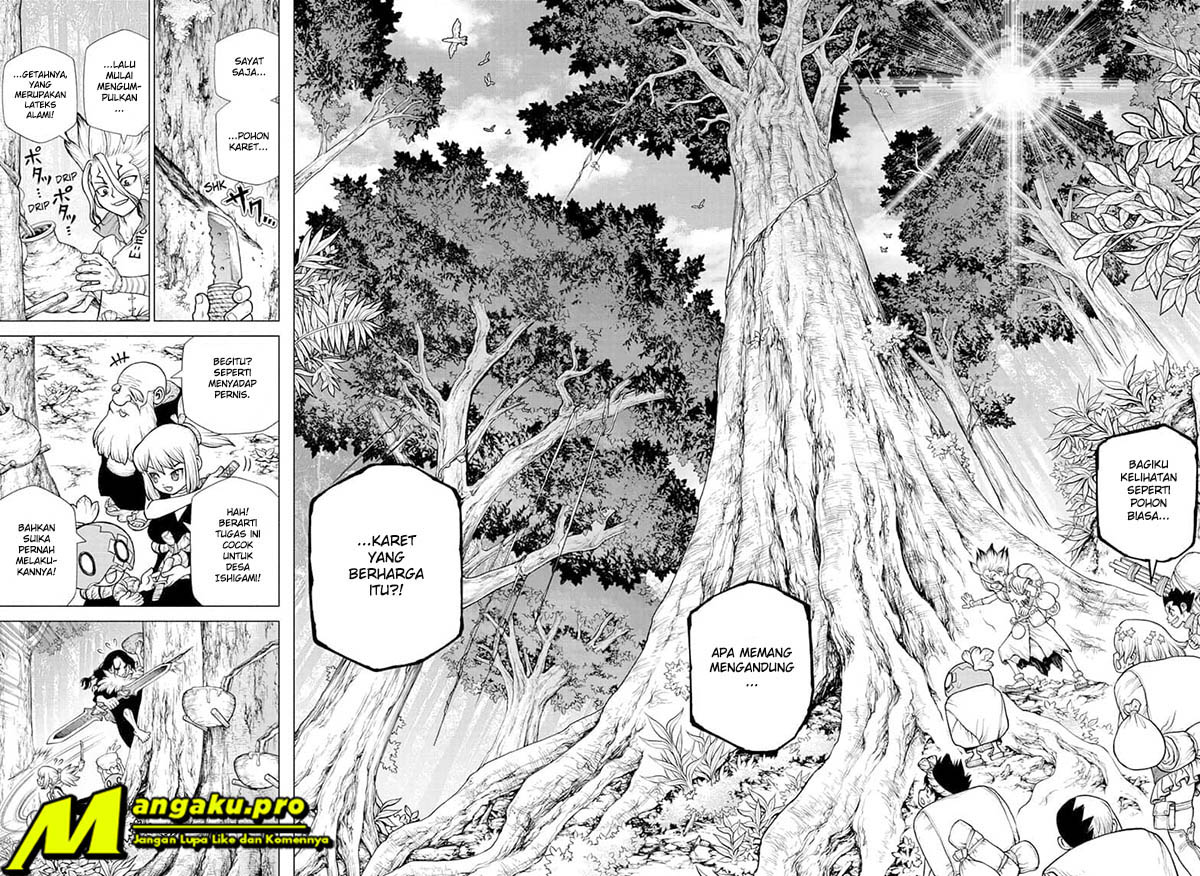 image-komik-dr-stone-chapter-174-11/17