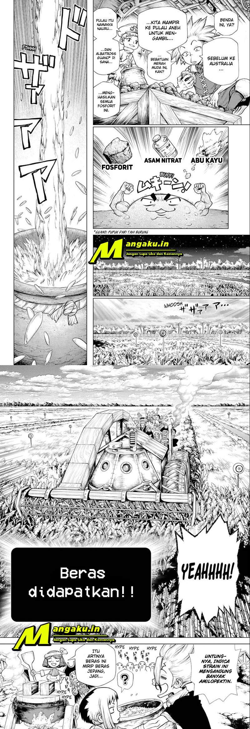 image-komik-dr-stone-chapter-211-8/11