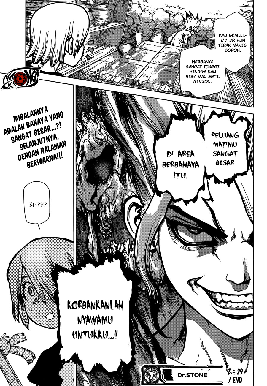 image-komik-dr-stone-chapter-29-19/20