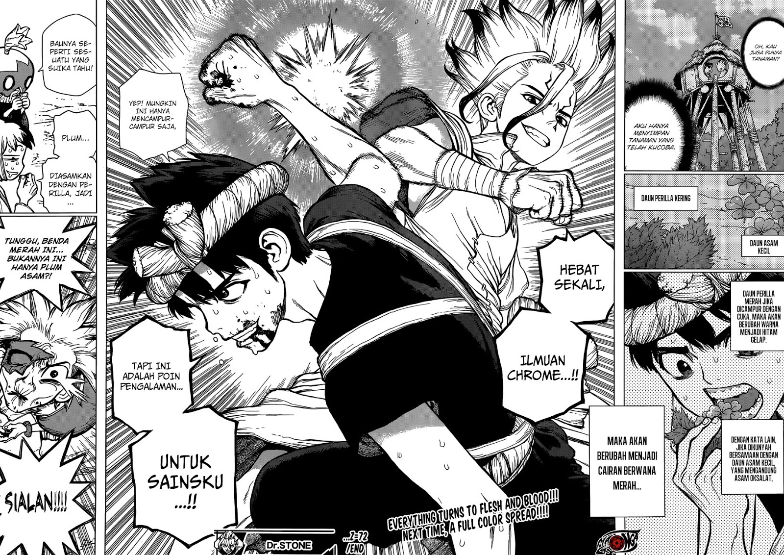 image-komik-dr-stone-chapter-72-15/16