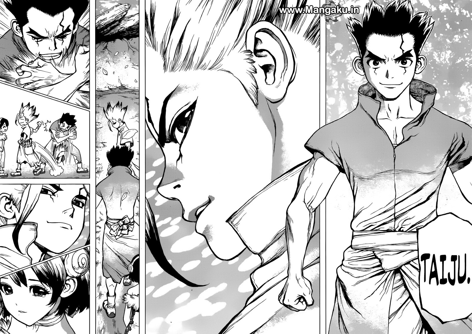 image-komik-dr-stone-chapter-74-12/17