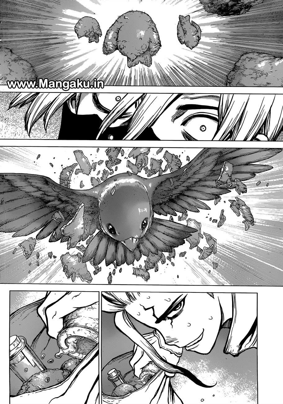 image-komik-dr-stone-chapter-80-14/19