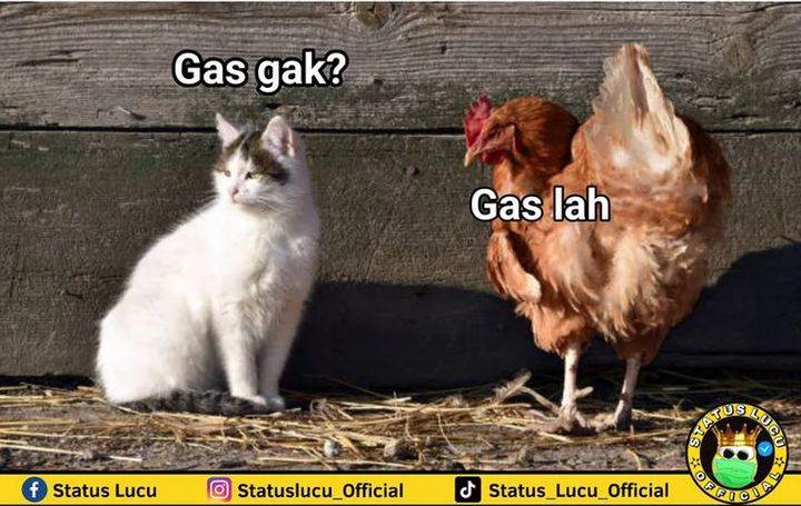 image-komik-dragon-master-chapter-187-16/17