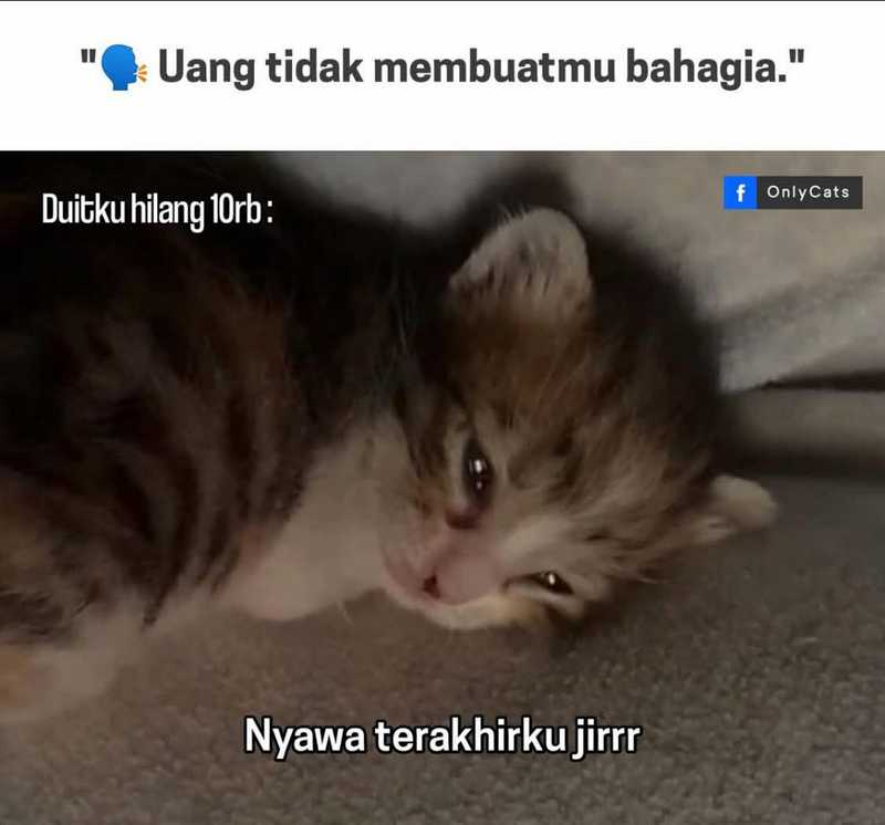 image-komik-dragon-master-chapter-203-18/21