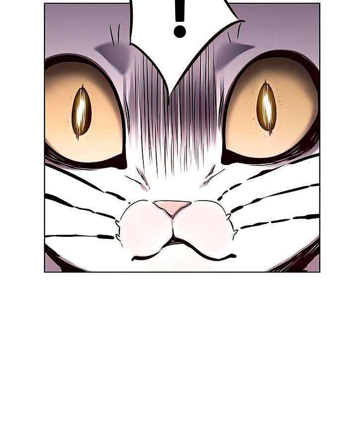 image-komik-eleceed-chapter-143-24/36