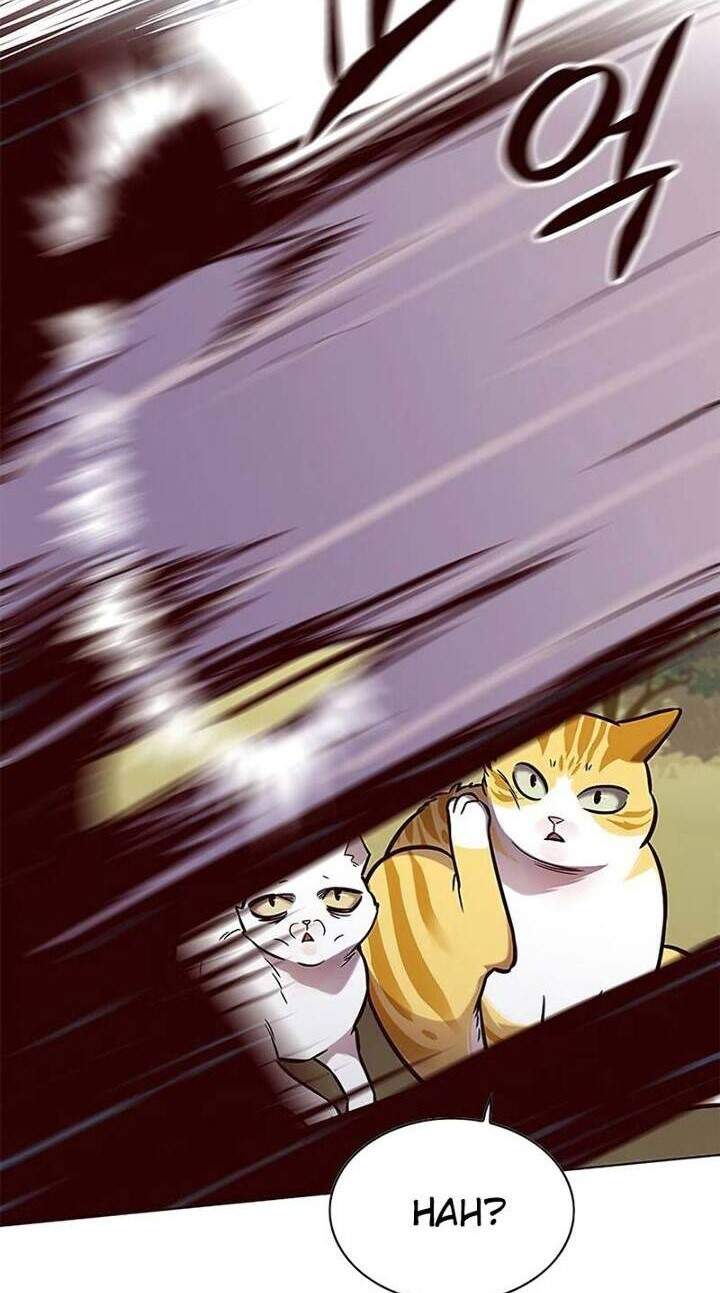 image-komik-eleceed-chapter-161-25/60