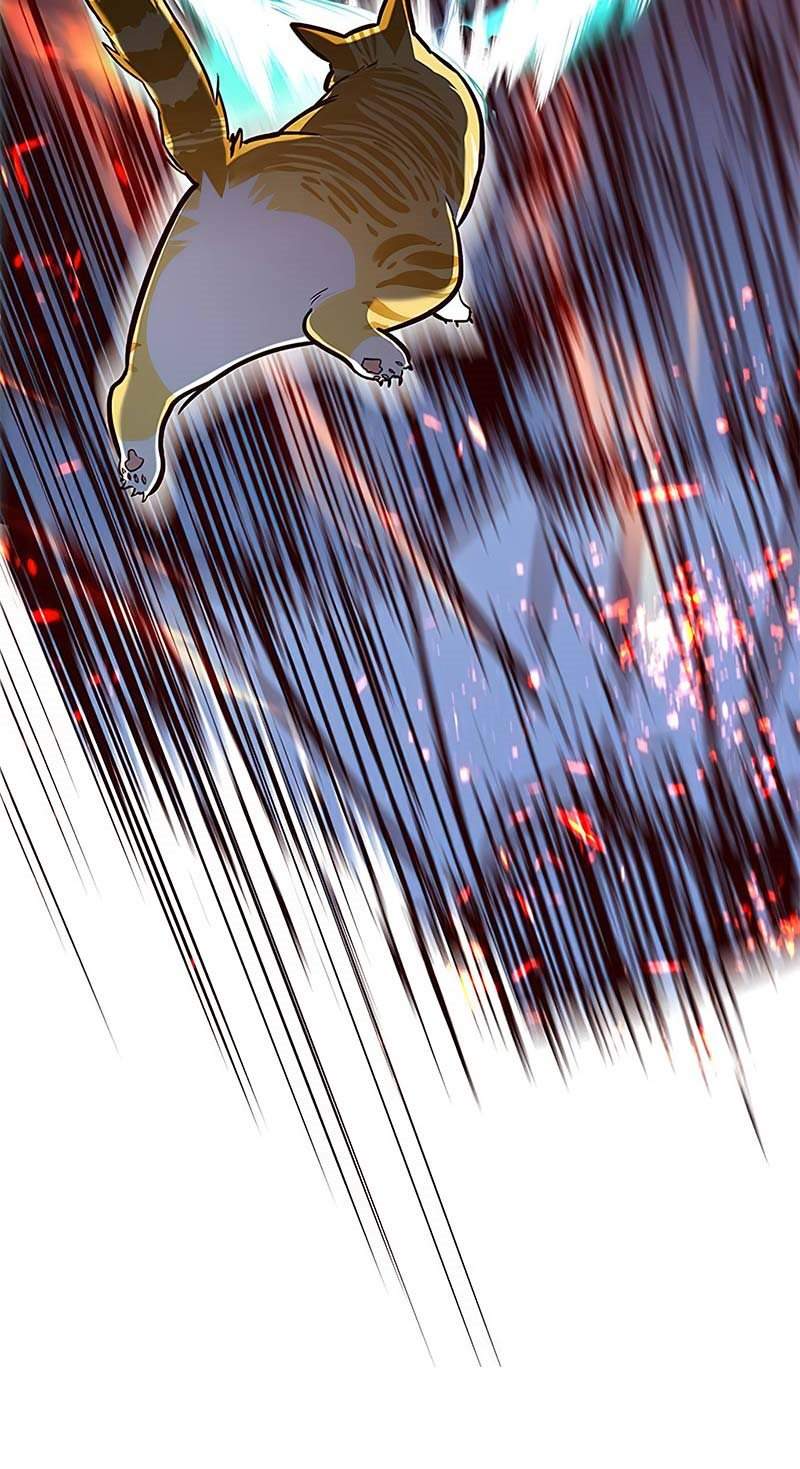 image-komik-eleceed-chapter-163-42/51