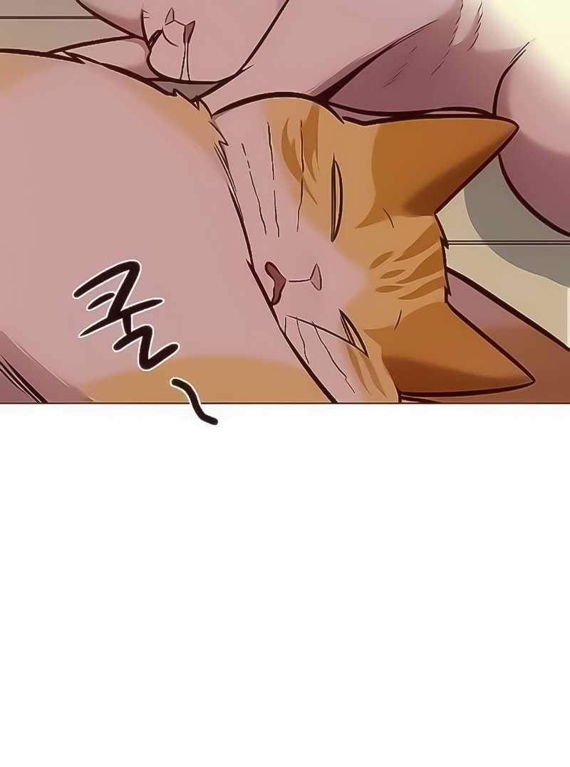 image-komik-eleceed-chapter-168-20/51