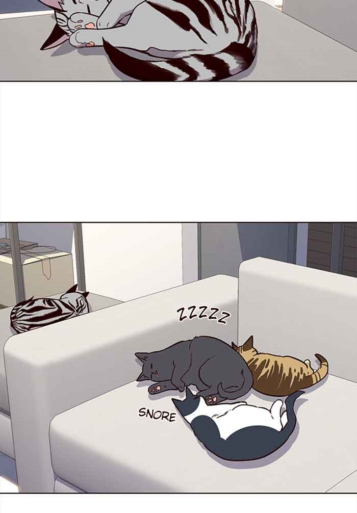 image-komik-eleceed-chapter-23-38/83