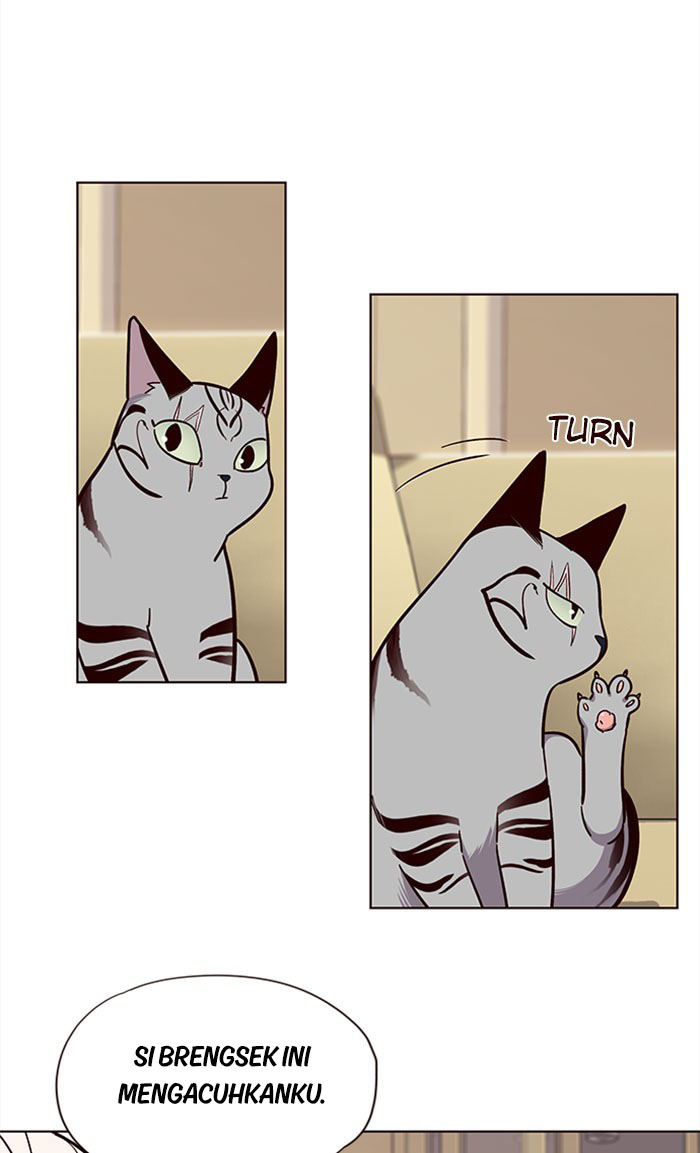 image-komik-eleceed-chapter-38-52/79