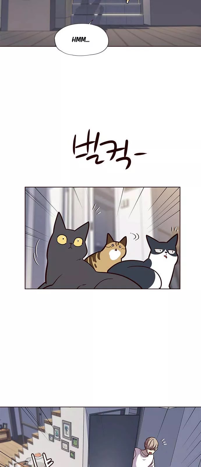 image-komik-eleceed-chapter-55-8/58