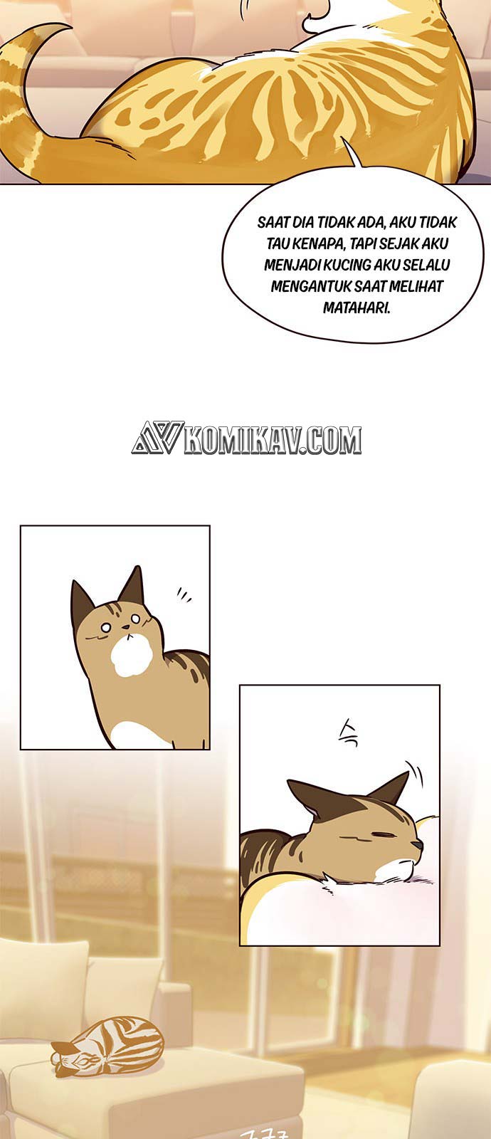 image-komik-eleceed-chapter-56-15/57