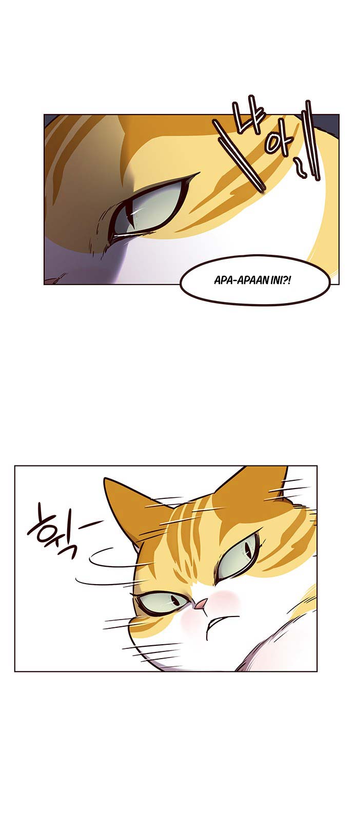 image-komik-eleceed-chapter-58-4/63