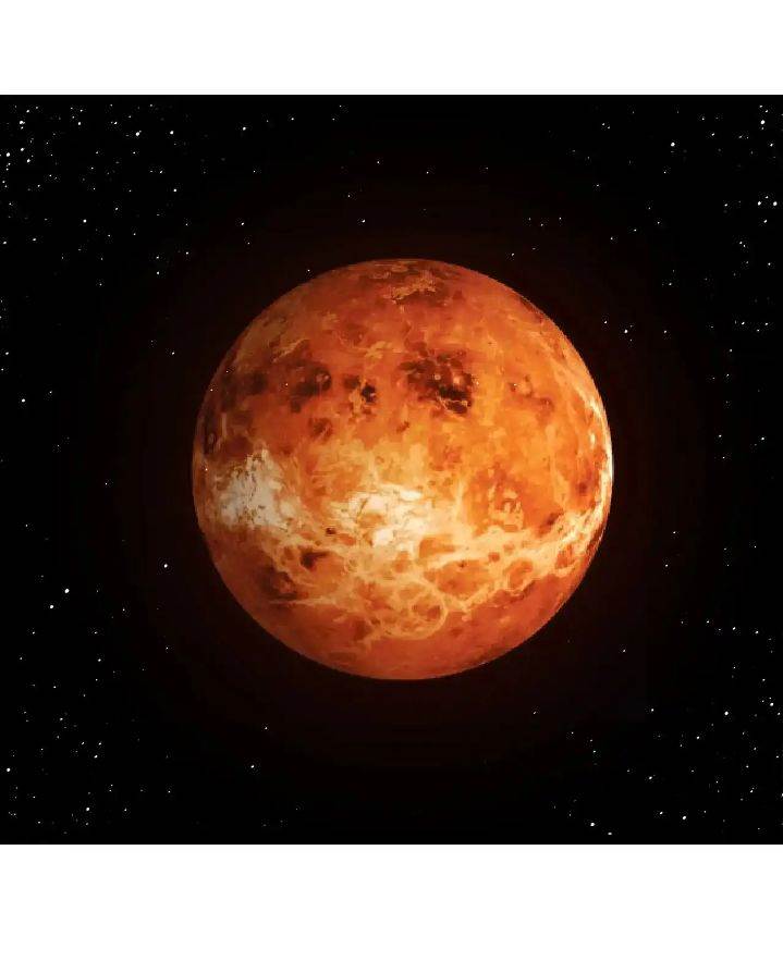 image-komik-evolution-begins-with-a-big-tree-chapter-270-13/46