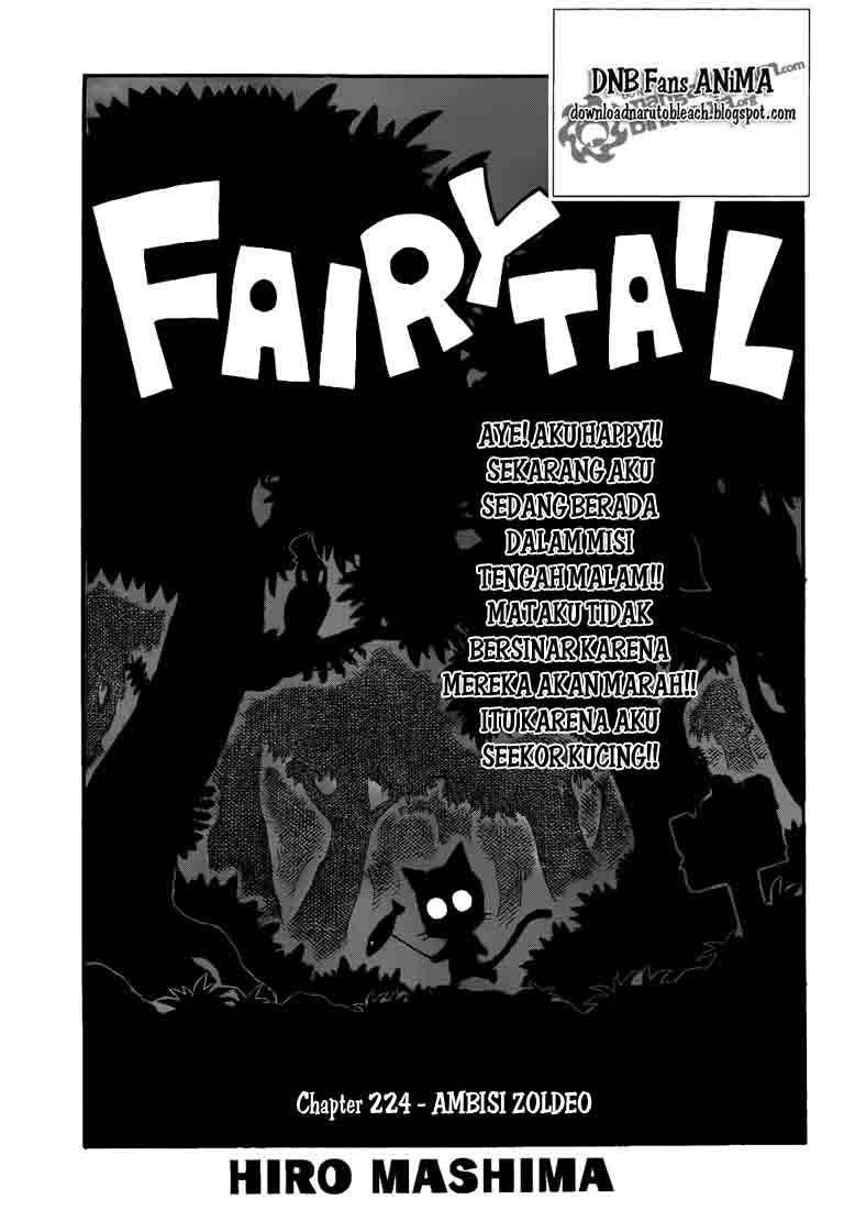 image-komik-fairy-tail-chapter-224-0/19