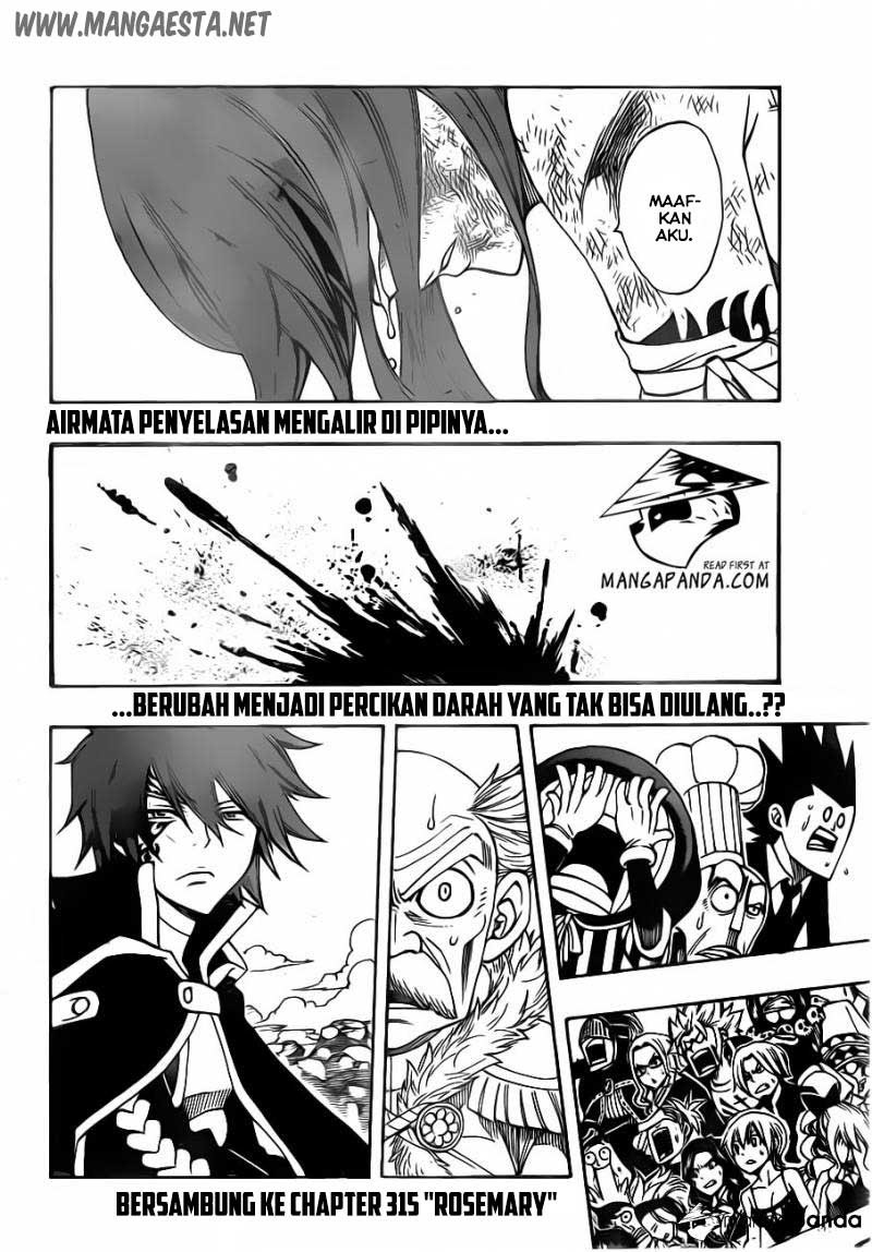 image-komik-fairy-tail-chapter-314-20/21