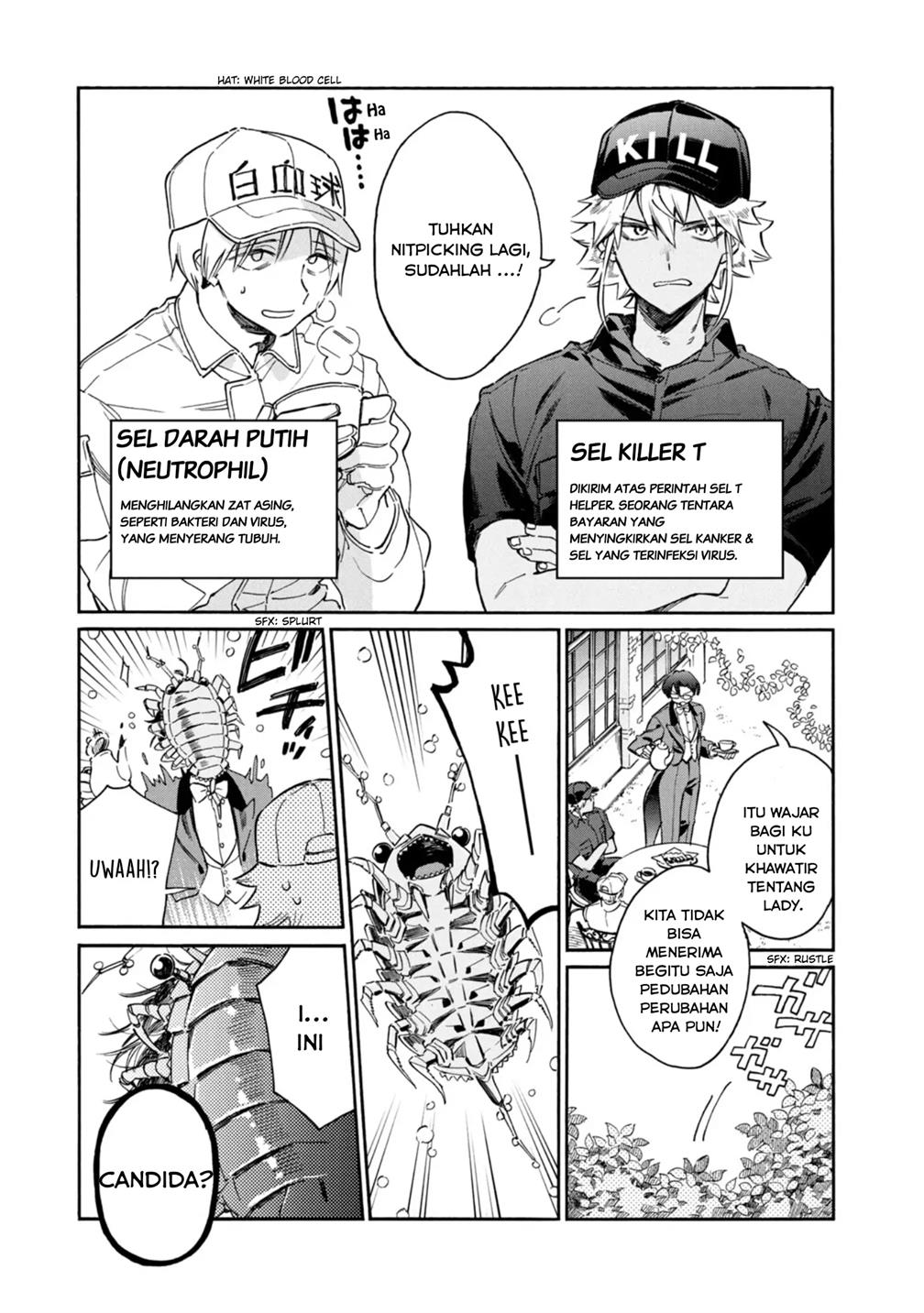 image-komik-hataraku-saibou-lady-chapter-2-2/36