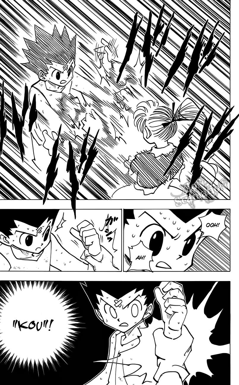 image-komik-hunter-x-hunter-chapter-171-5/16