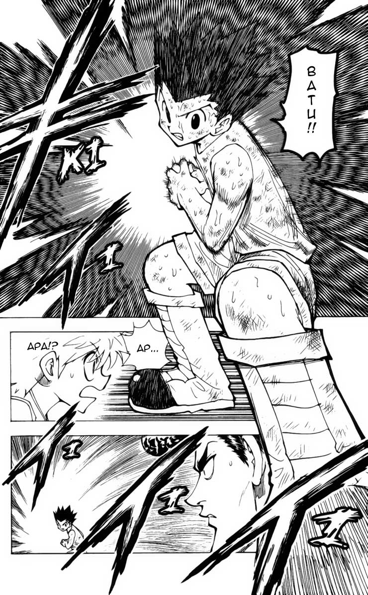 image-komik-hunter-x-hunter-chapter-208-13/15