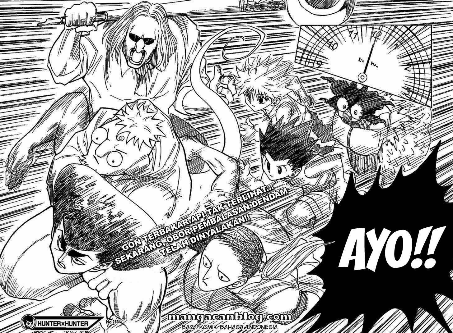 image-komik-hunter-x-hunter-chapter-263-17/19