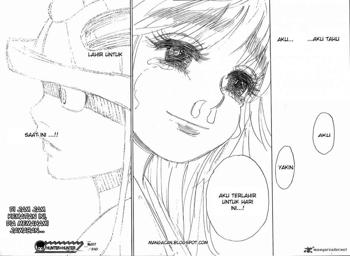 image-komik-hunter-x-hunter-chapter-317-17/20