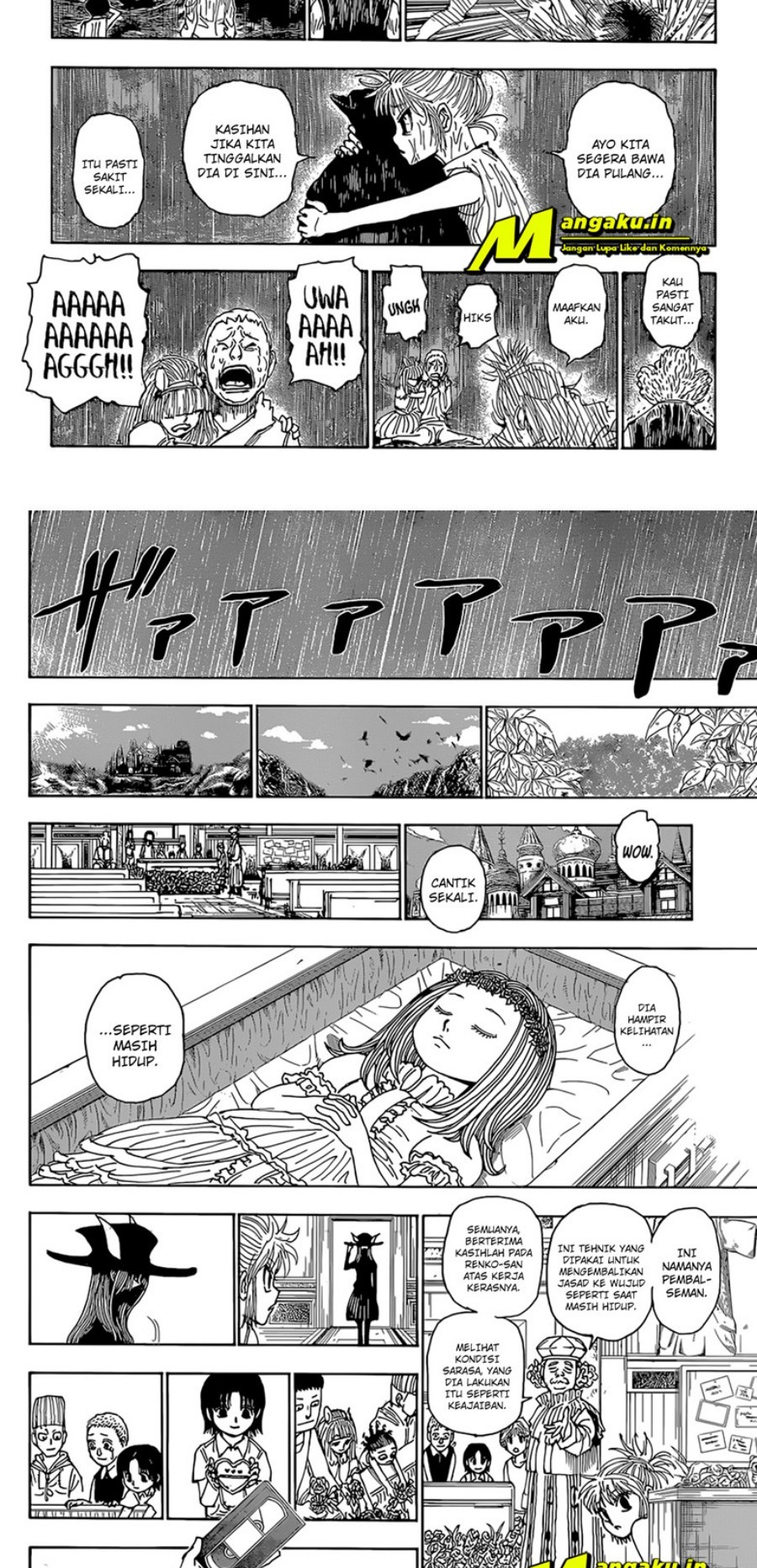 image-komik-hunter-x-hunter-chapter-397-8/15