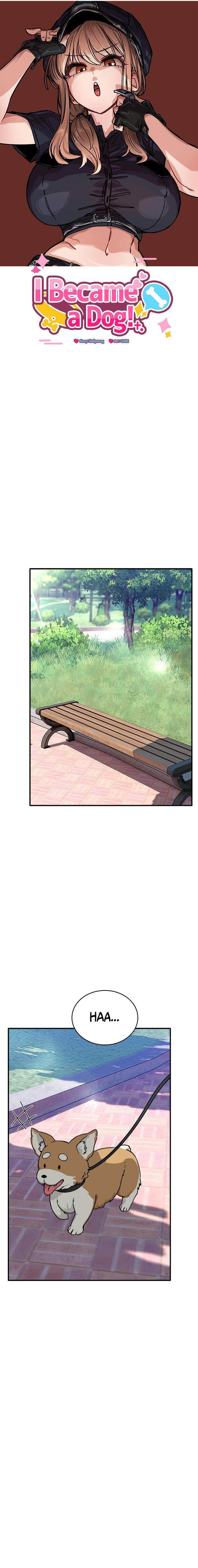 image-komik-i-became-a-dog-chapter-43-19/25