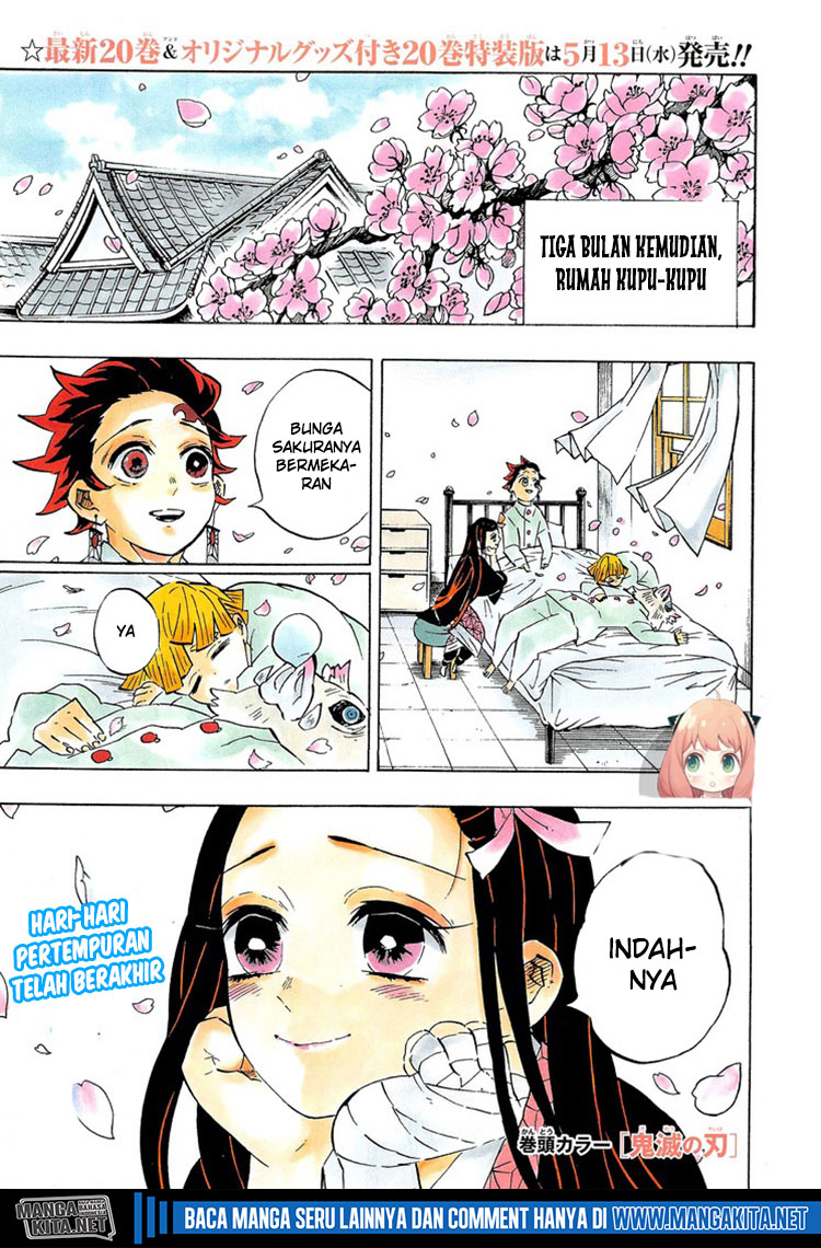image-komik-kimetsu-no-yaiba-chapter-204-4/30