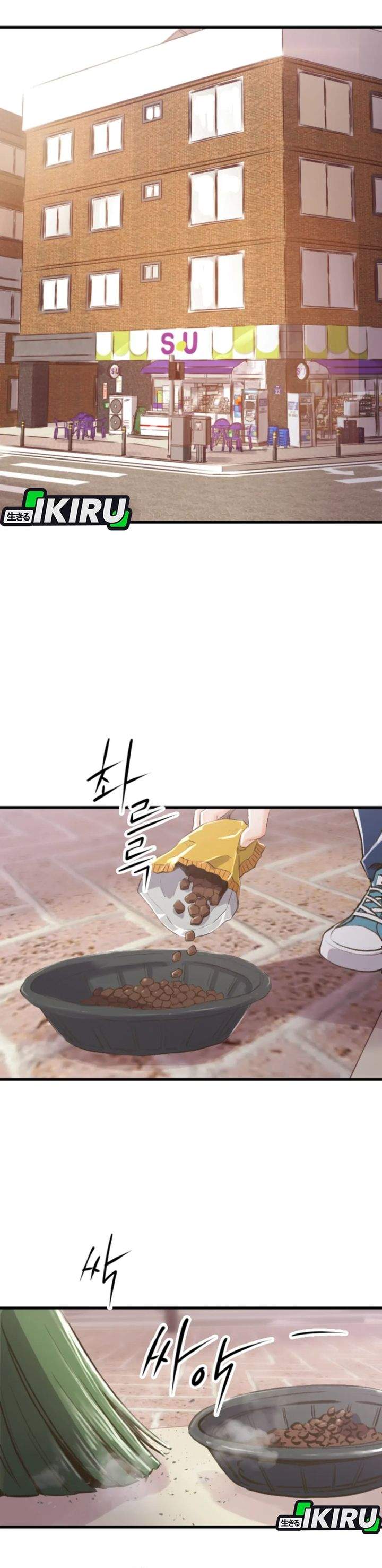 image-komik-mirror-mong-woo-chapter-01-20/47